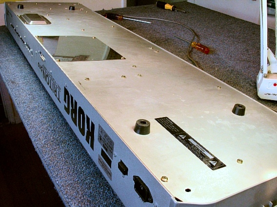 The Bottom Tray