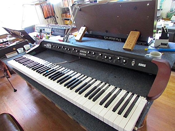 Removed SV-1 Keybed
