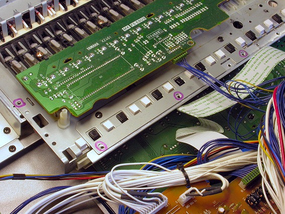 Keyboard Assembly Rear Screws